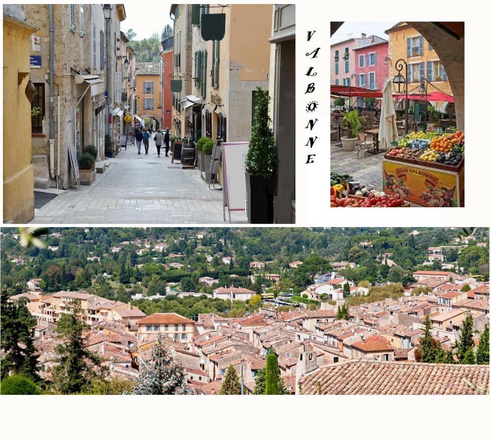 Les Chenes Verts Valbonne Luaran gambar