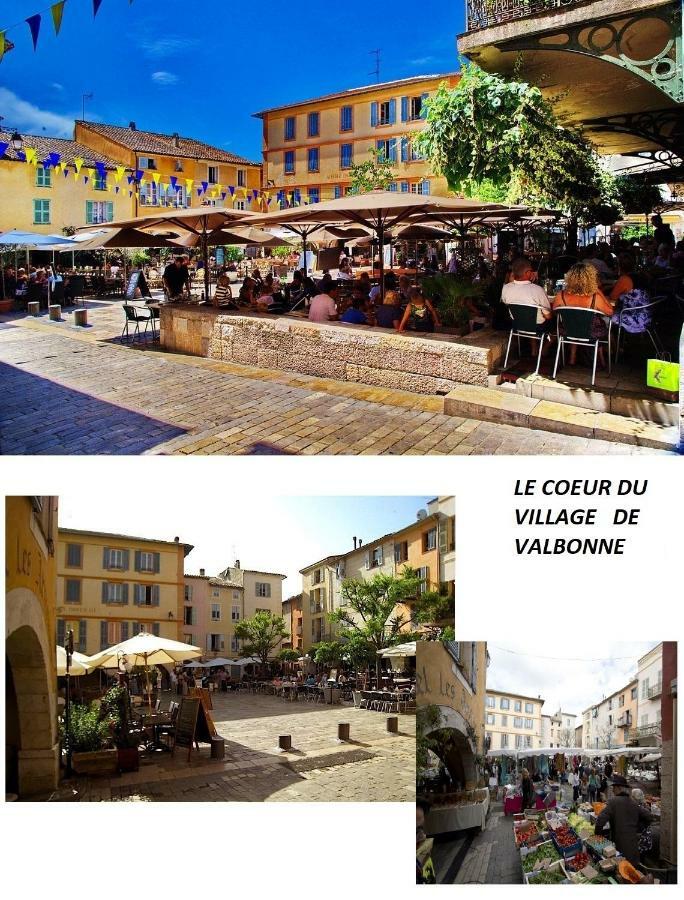Les Chenes Verts Valbonne Luaran gambar